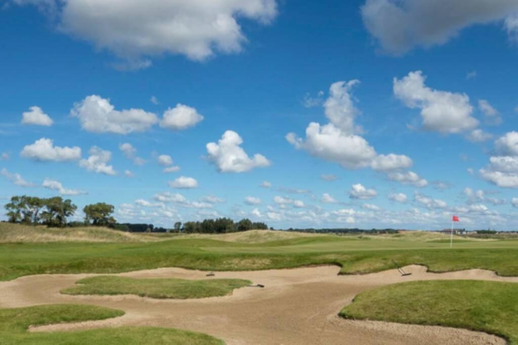 Hoge Blekker * Koksijde