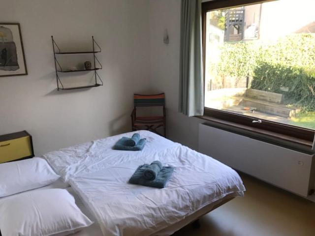 Hoge Blekker * Koksijde